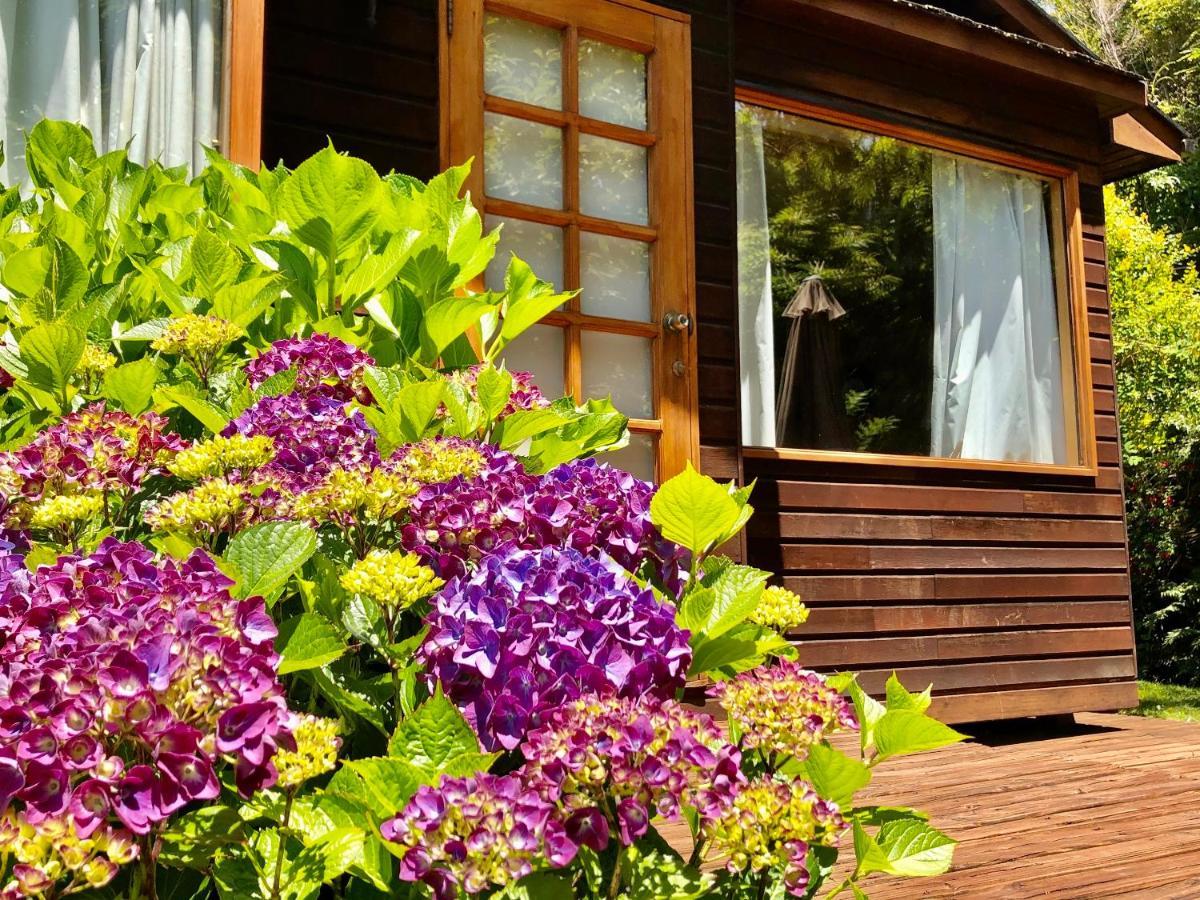 Cabanas Monte Verde Pucón Esterno foto